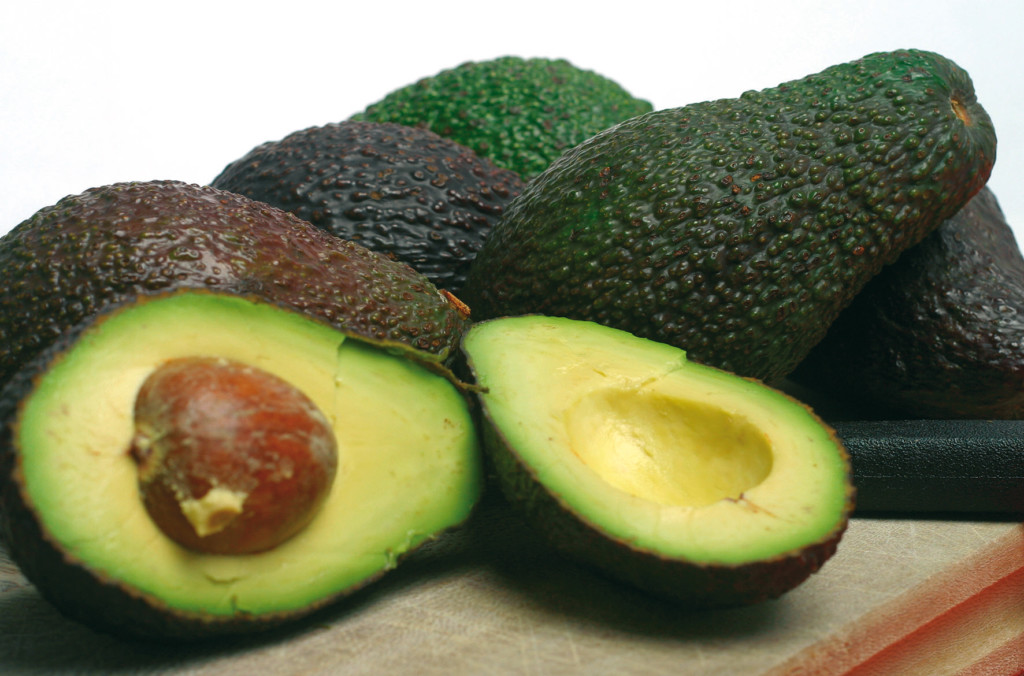 Jingold aguacate
