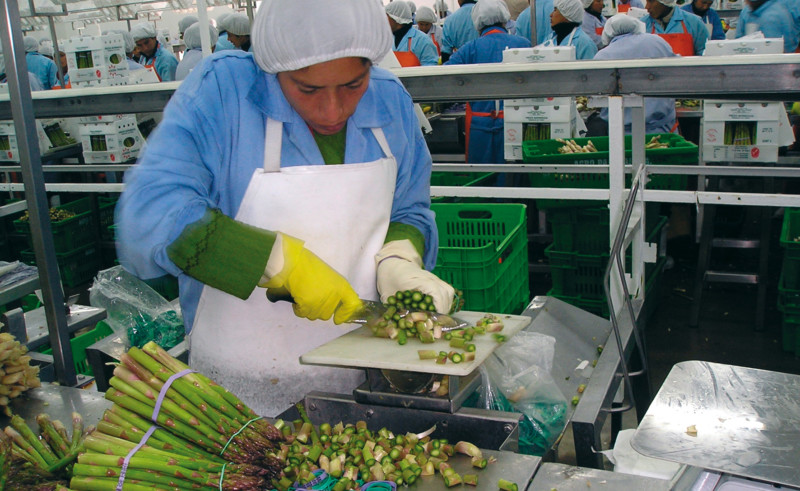 Perú espera superar los 13.200 M€ en exportaciones agrícolas