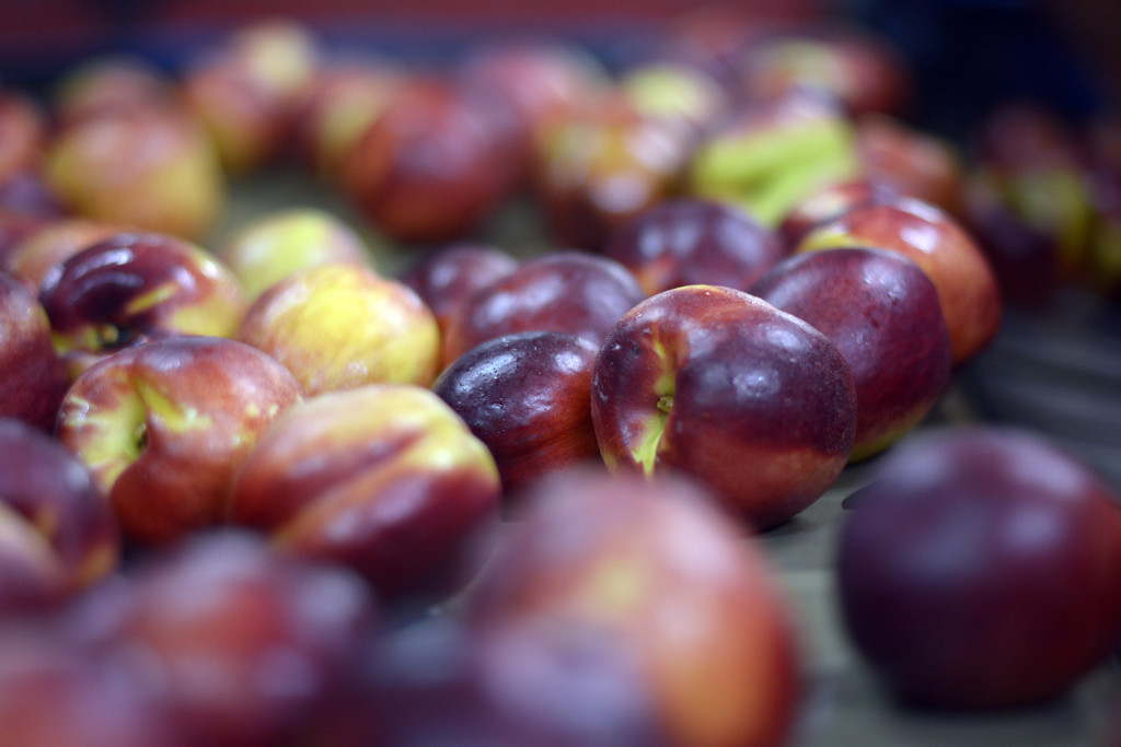 melocotón nectarina Alemania