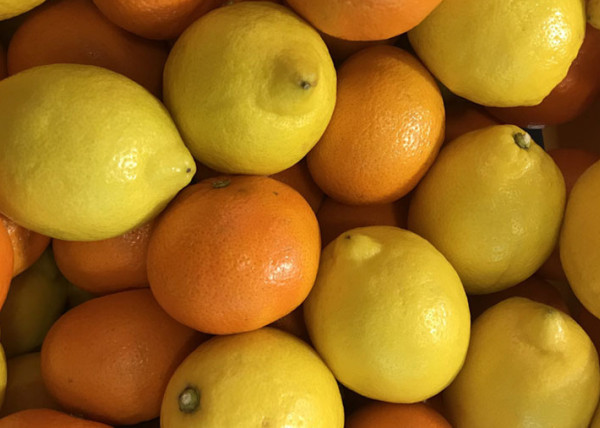limón naranjas