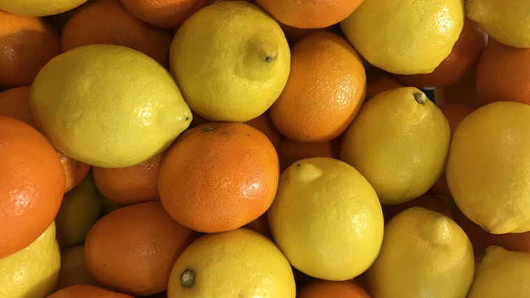 limón naranjas