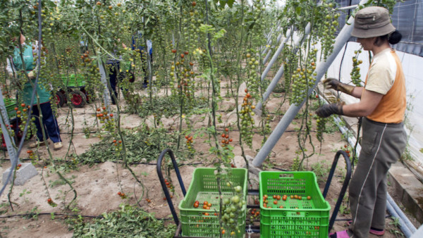 Marruecos Sáhara Occidental