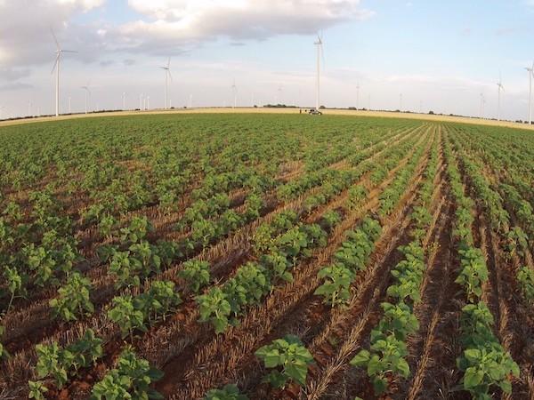 suelo agrícola emisiones