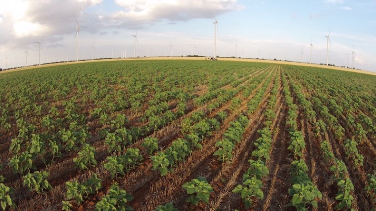 suelo agrícola emisiones