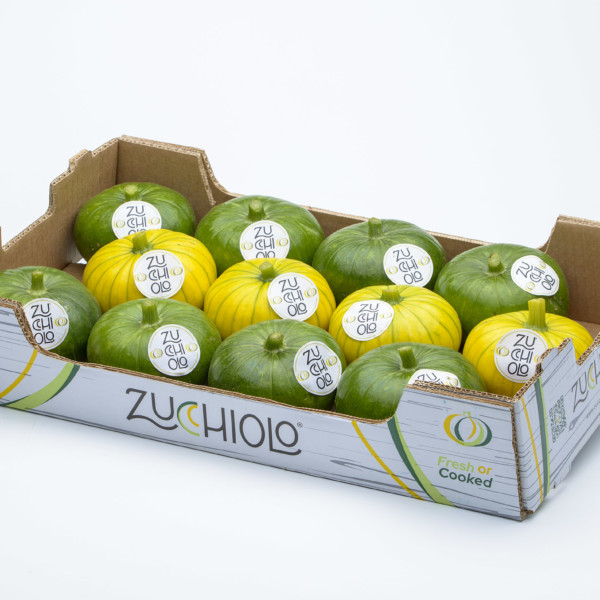 Unica La Palma Zucchiolo