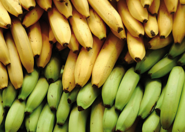 congreso banano