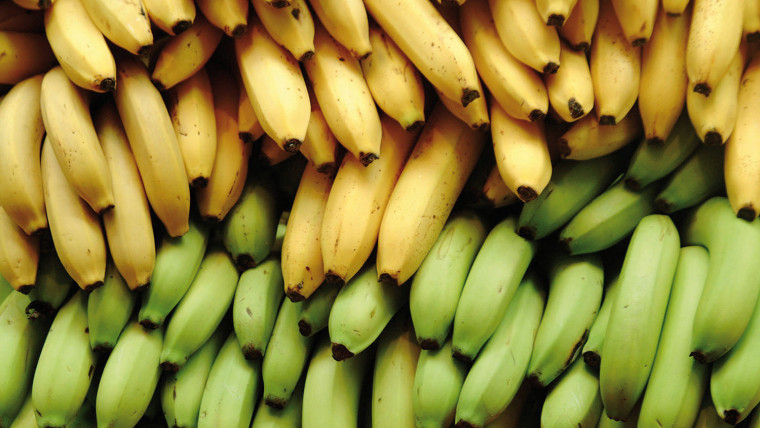 congreso banano