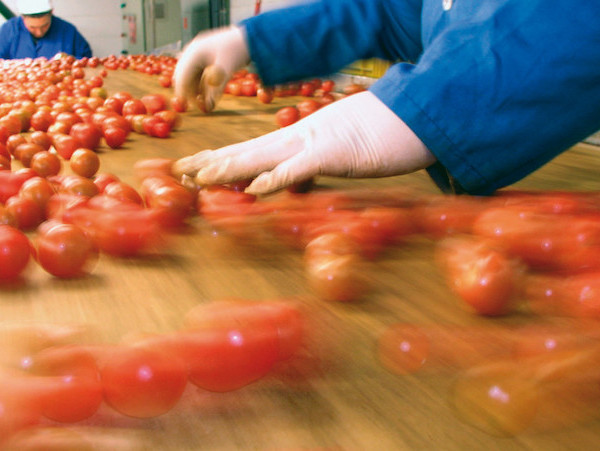 Francia mano de obra