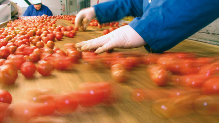 Francia mano de obra