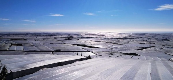 explotaciones agrícolas