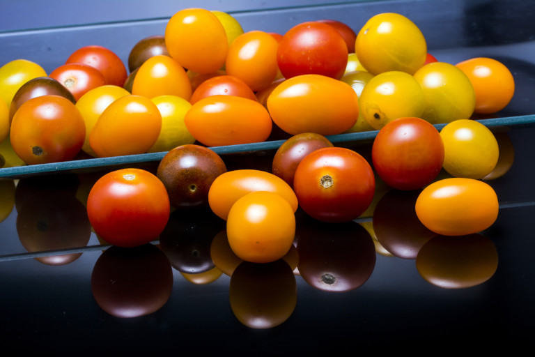 tomates cherry infectados