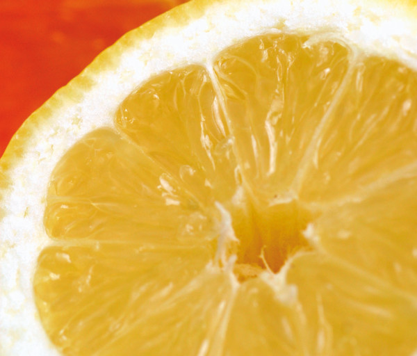 Argentina cítricos orgánicos UE