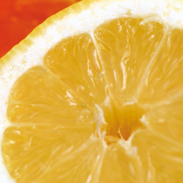 Argentina cítricos orgánicos UE