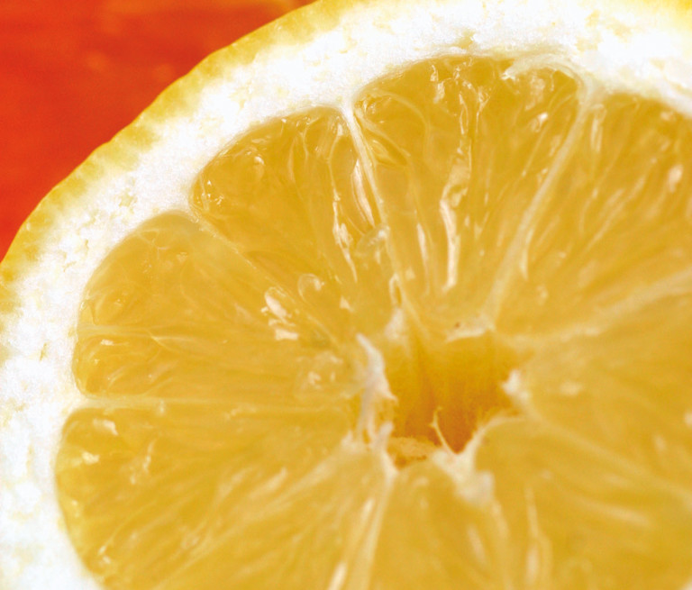 Argentina cítricos orgánicos UE