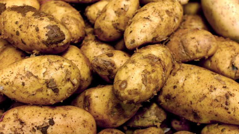 precio patatas frutas IPC alimentos