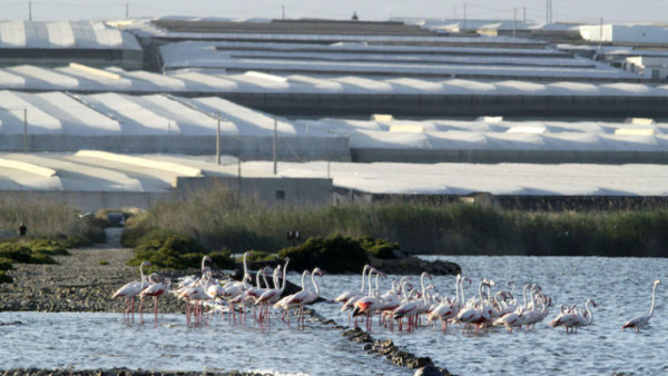 sector agro España Portugal inversiones