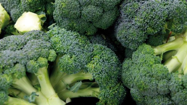 consumo brócoli Suiza