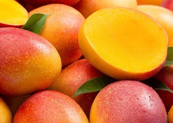 exportación mango Perú