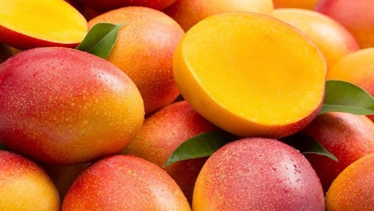exportación mango Perú