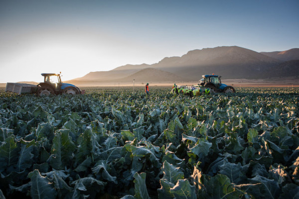 Gobierno ayudas créditos agrícolas
