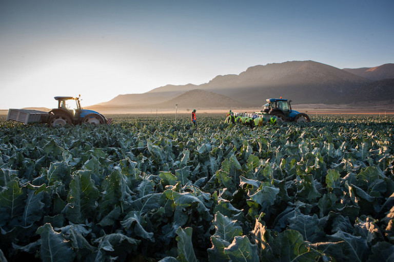 Gobierno ayudas créditos agrícolas