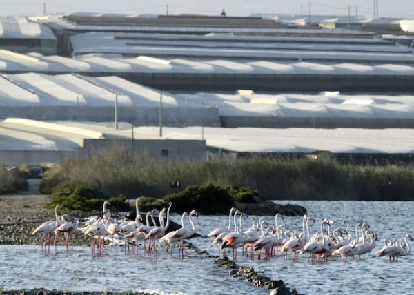 modernizar invernaderos