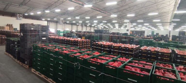 Agroponiente Subastas