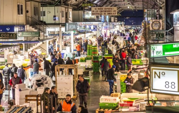 crédito y caución impagos italia