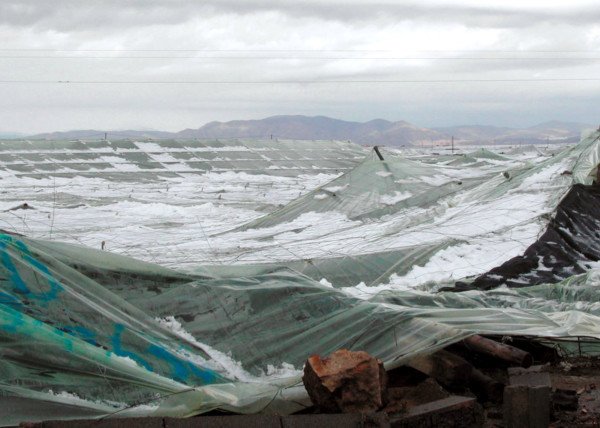 Sorry! Image not available at this time