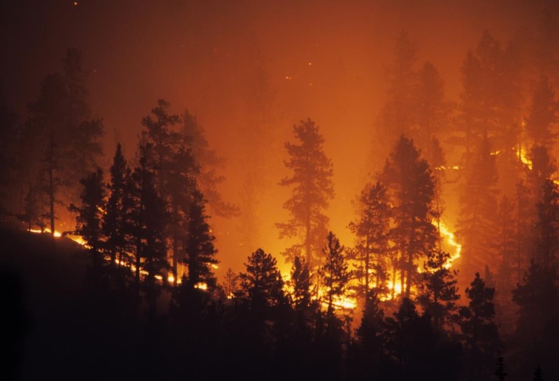incendios hectáreas agrarias