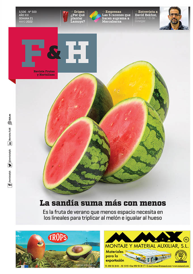 F&H 503 » FyH Revista