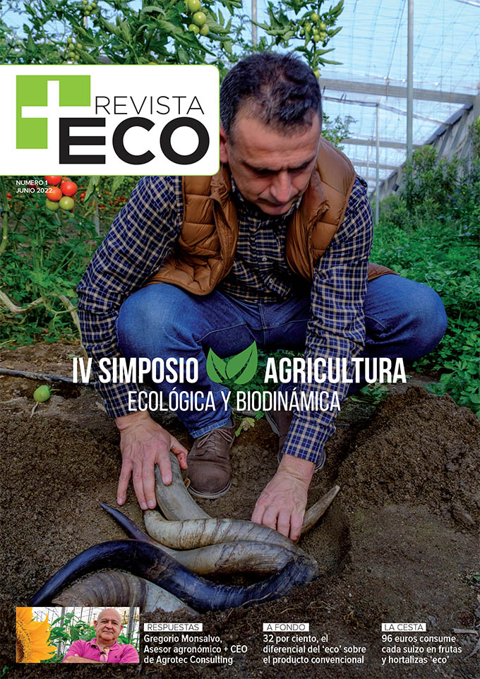 Revista +Eco 1