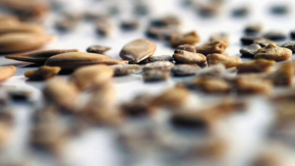 CE innovación agrícola