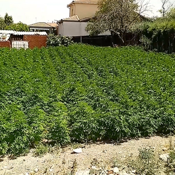 Sorry! Image not available at this time