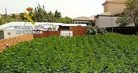 Marruecos semillas fertilizantes