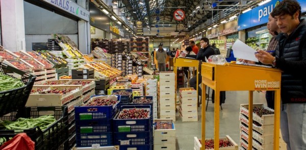 crédito y caución impagos italia