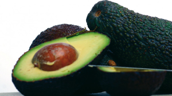 aguacate mango Andalucía