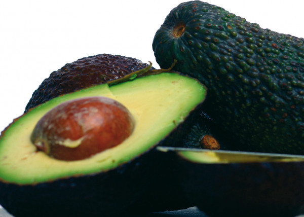 aguacate mango Andalucía