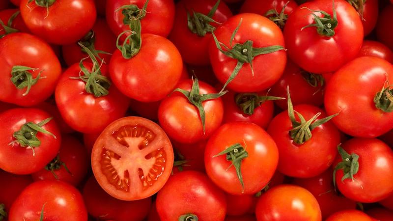España cosecha tomate