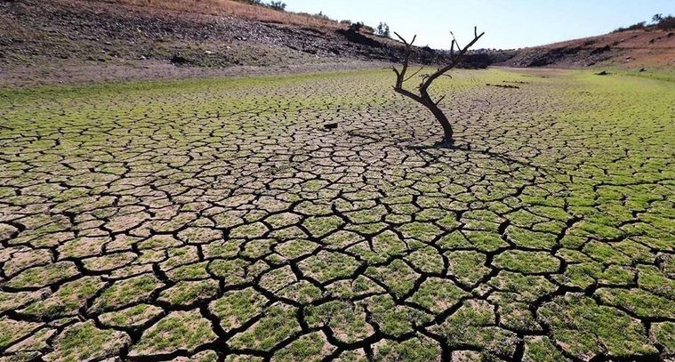 gobierno ayudas sequía