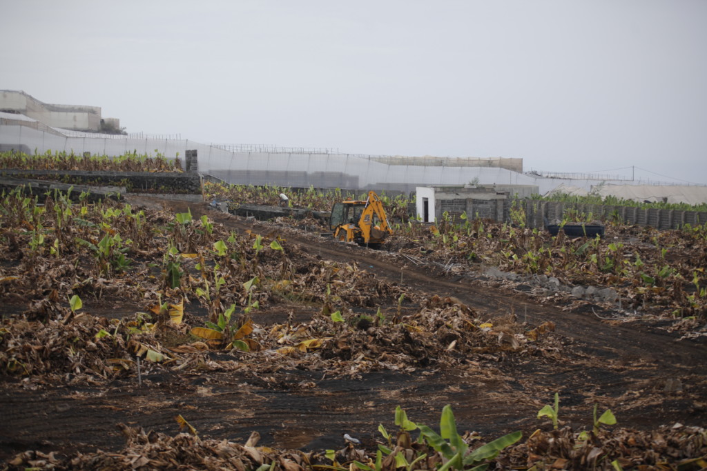 agricultura La Palma