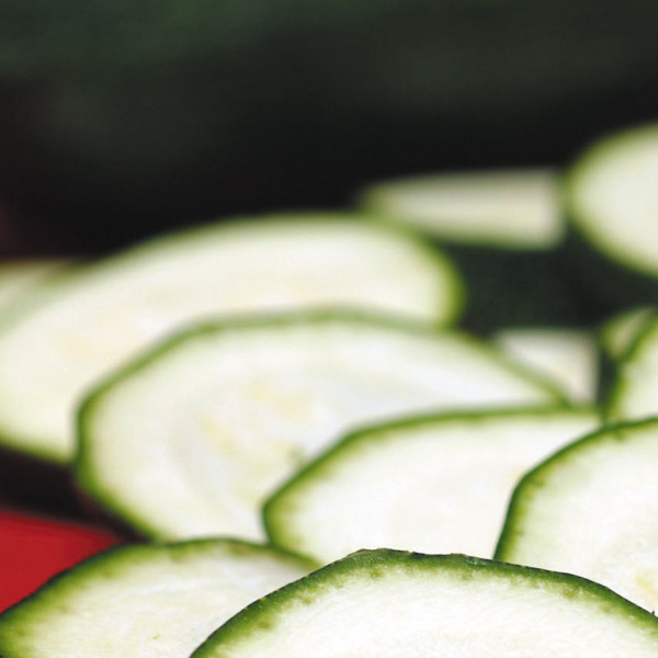 calabacín ecológico Andalucía hortalizas invernadero