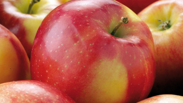 exportación manzanas hemisferio sur