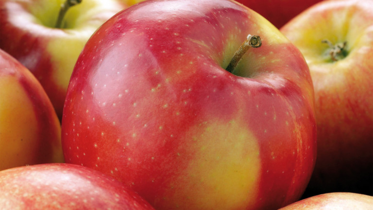 exportación manzanas hemisferio sur