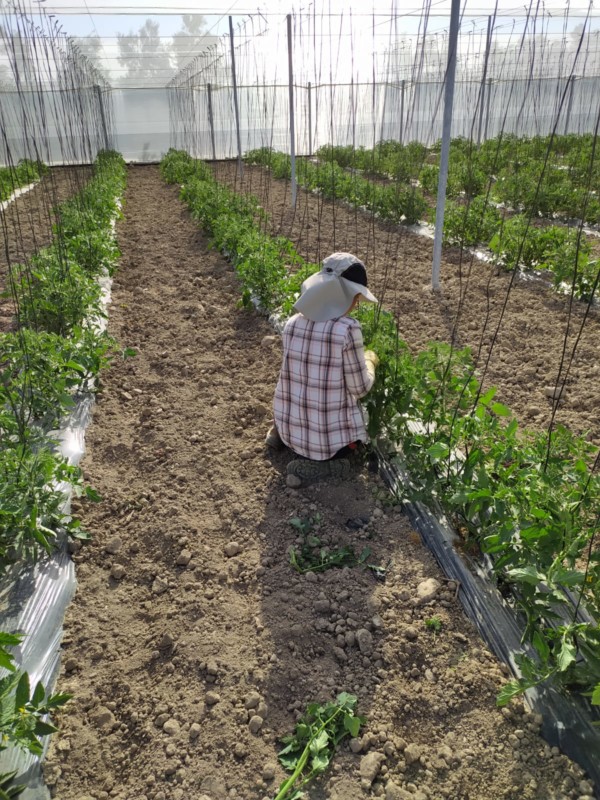mujeres cooperativas