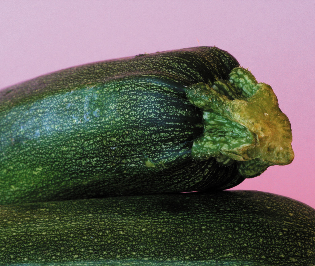 Lomanoryas calibradoras