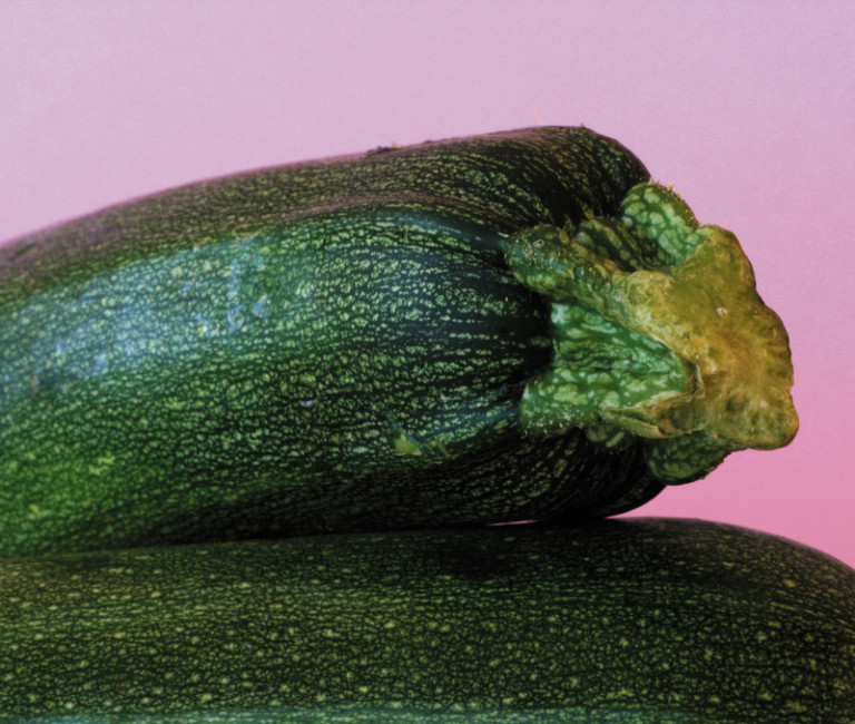 Lomanoryas calibradoras