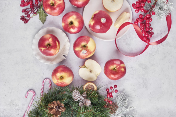 consumidores Ambrosia