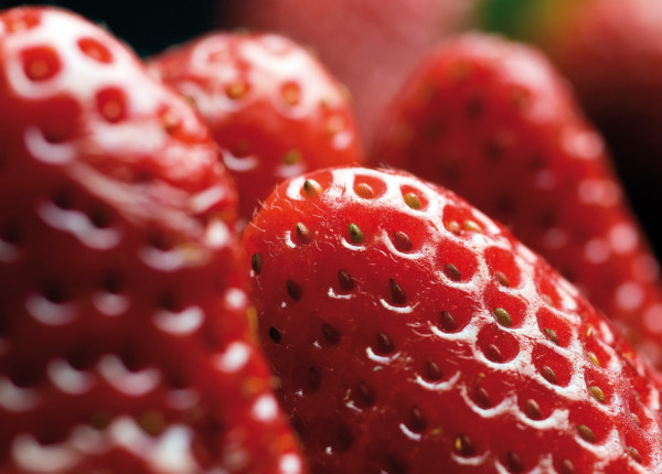 debate regadíos Doñana frutos rojos interfería