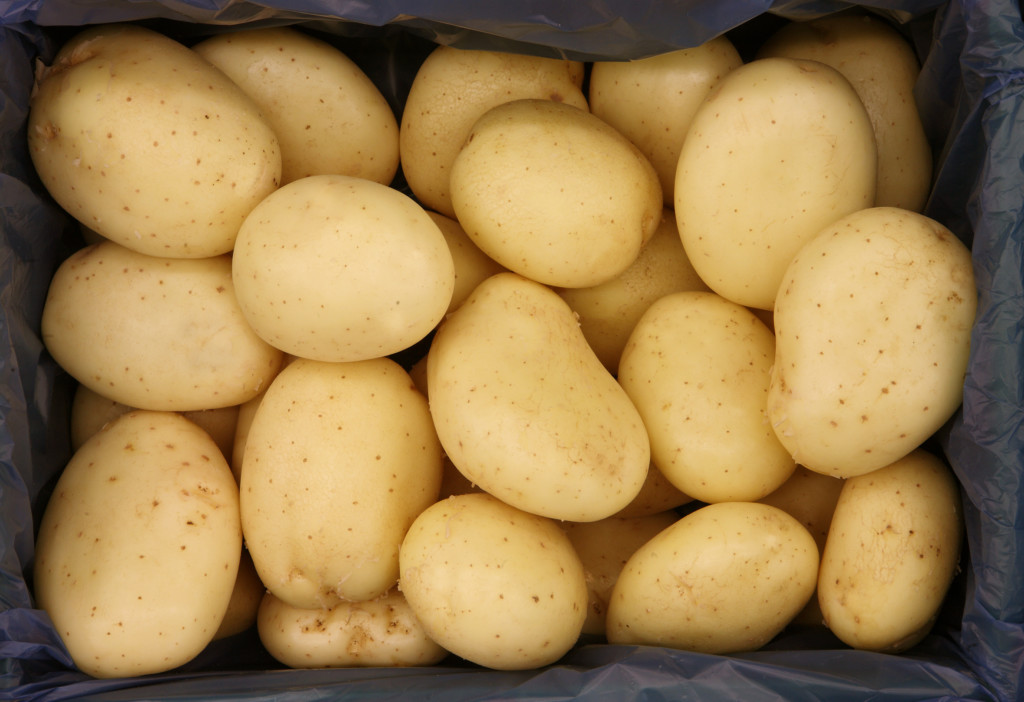 Mercadona patata nueva